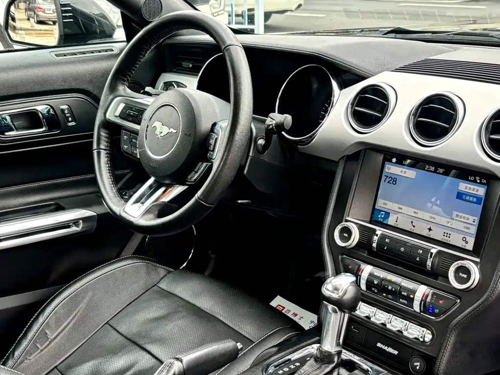Ford Mustang — миниатюра 11