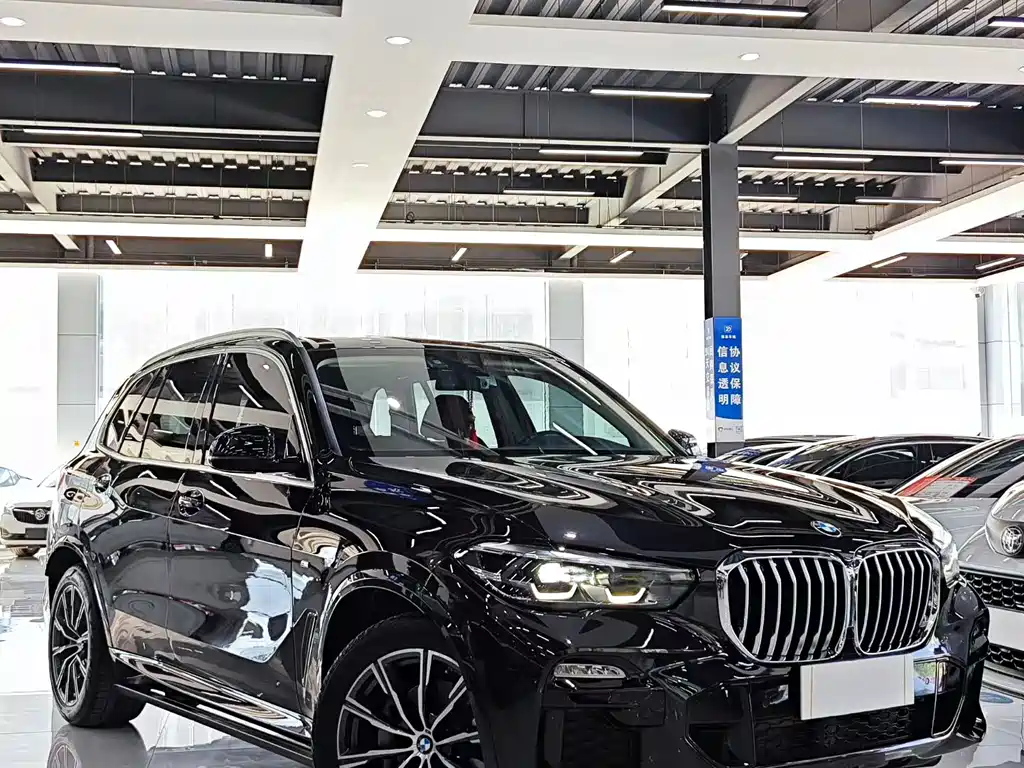 BMW X5 (Import) — миниатюра 3