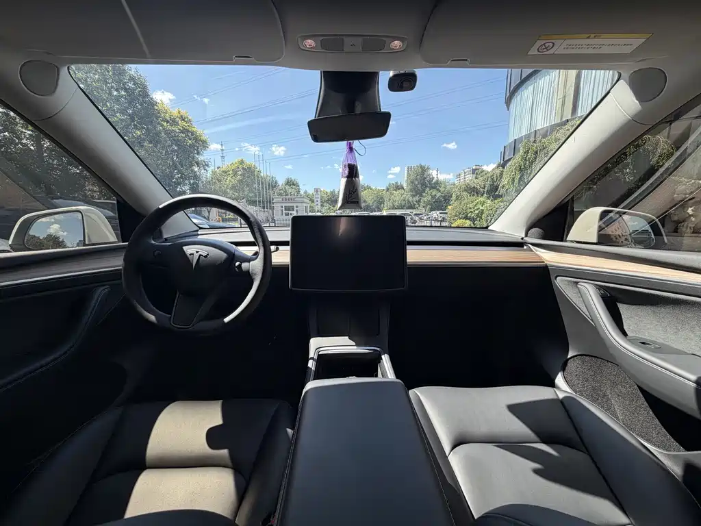 Tesla Model Y — миниатюра 10