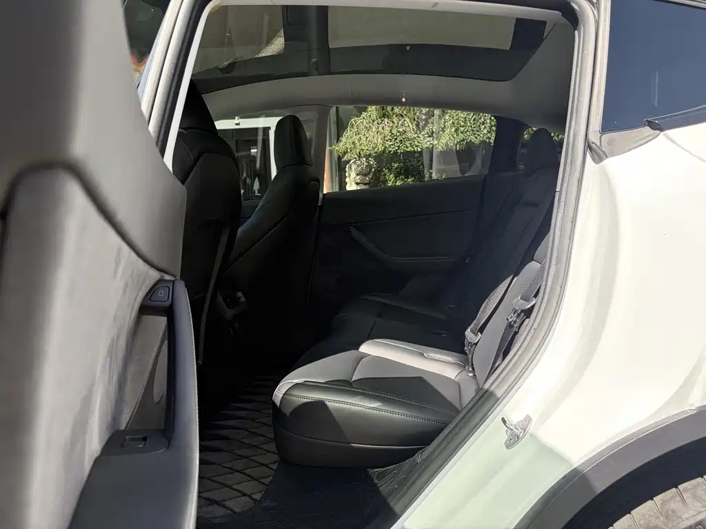 Tesla Model Y — миниатюра 15
