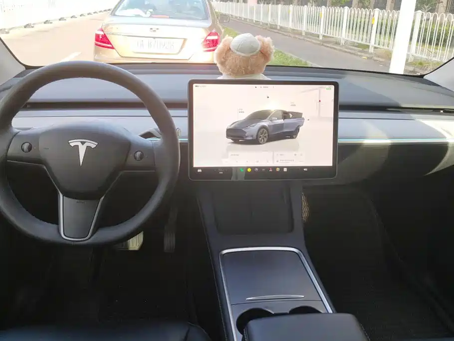 Tesla Model Y — миниатюра 12