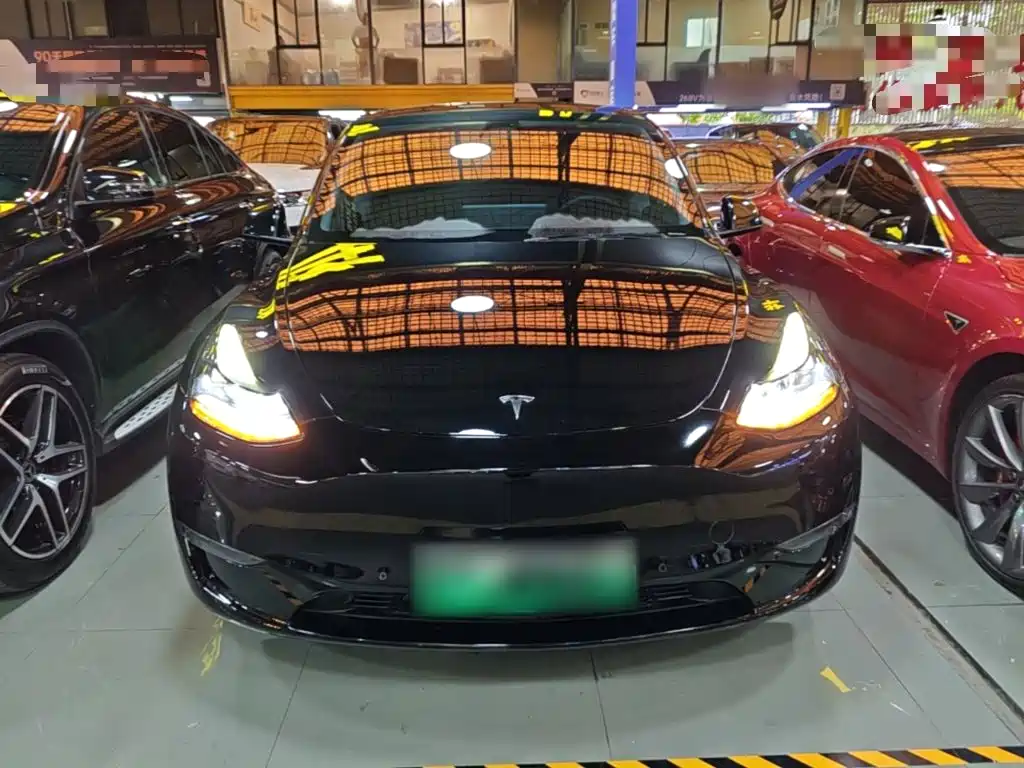 Tesla Model Y — миниатюра 3