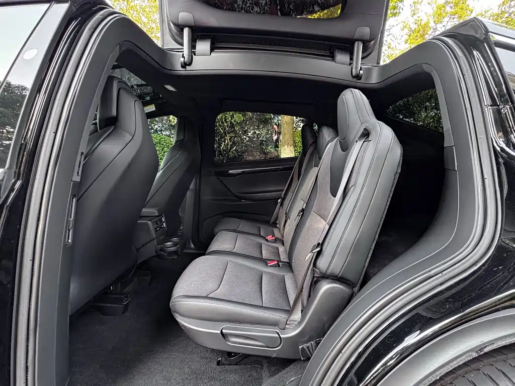 Tesla Model X — миниатюра 8