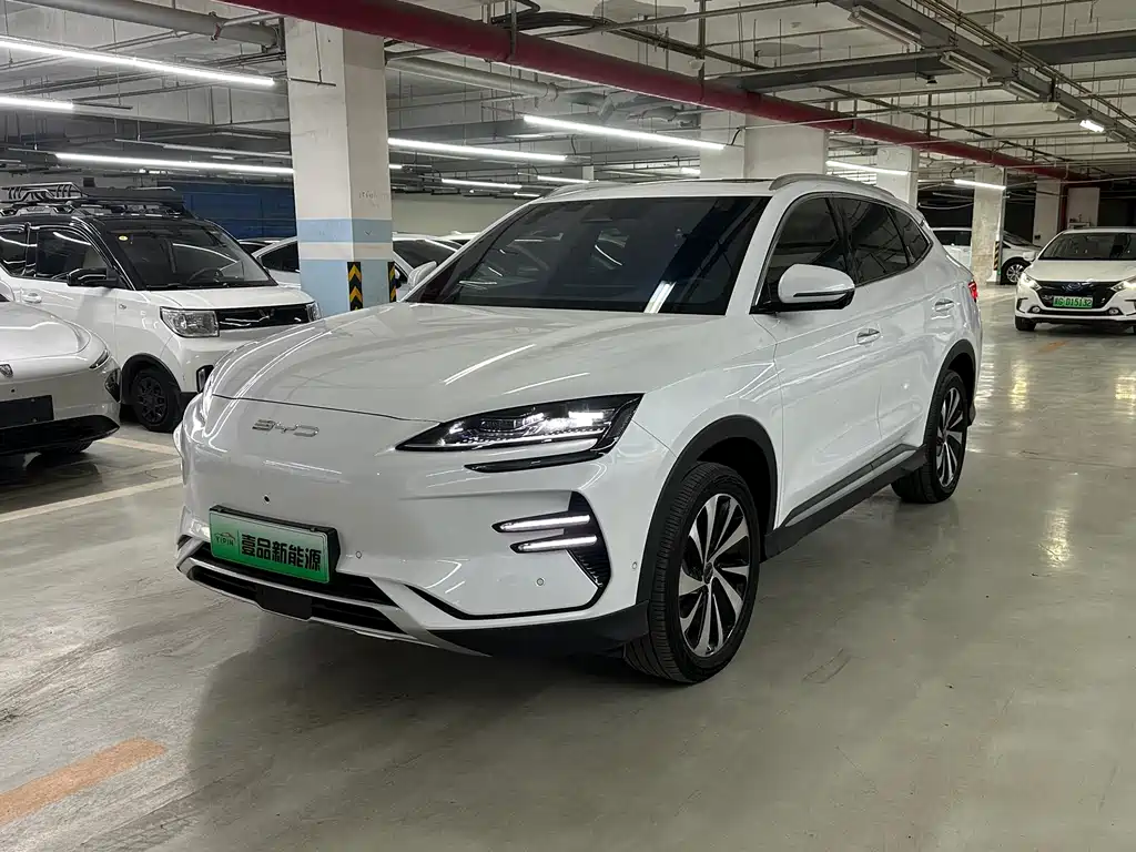 Byd PLUS New Energy 2024