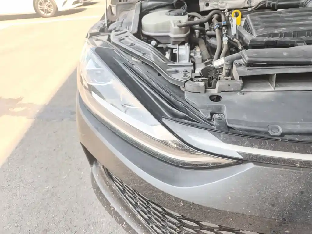 Volkswagen Lamando — миниатюра 11