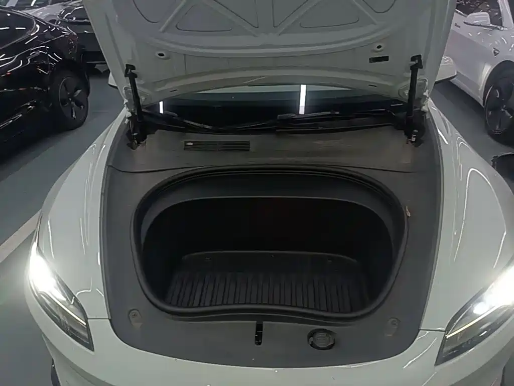 Tesla Model 3 — миниатюра 20