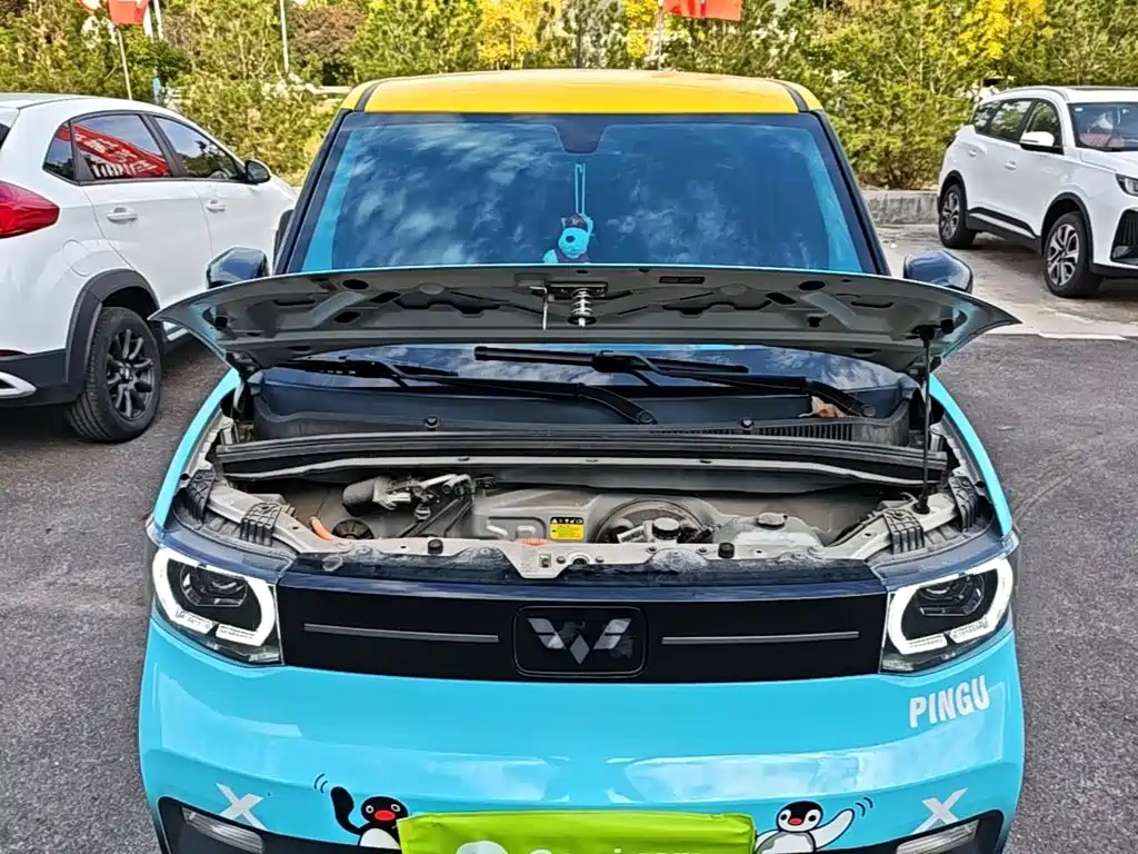 Wuling MINIEV — миниатюра 20