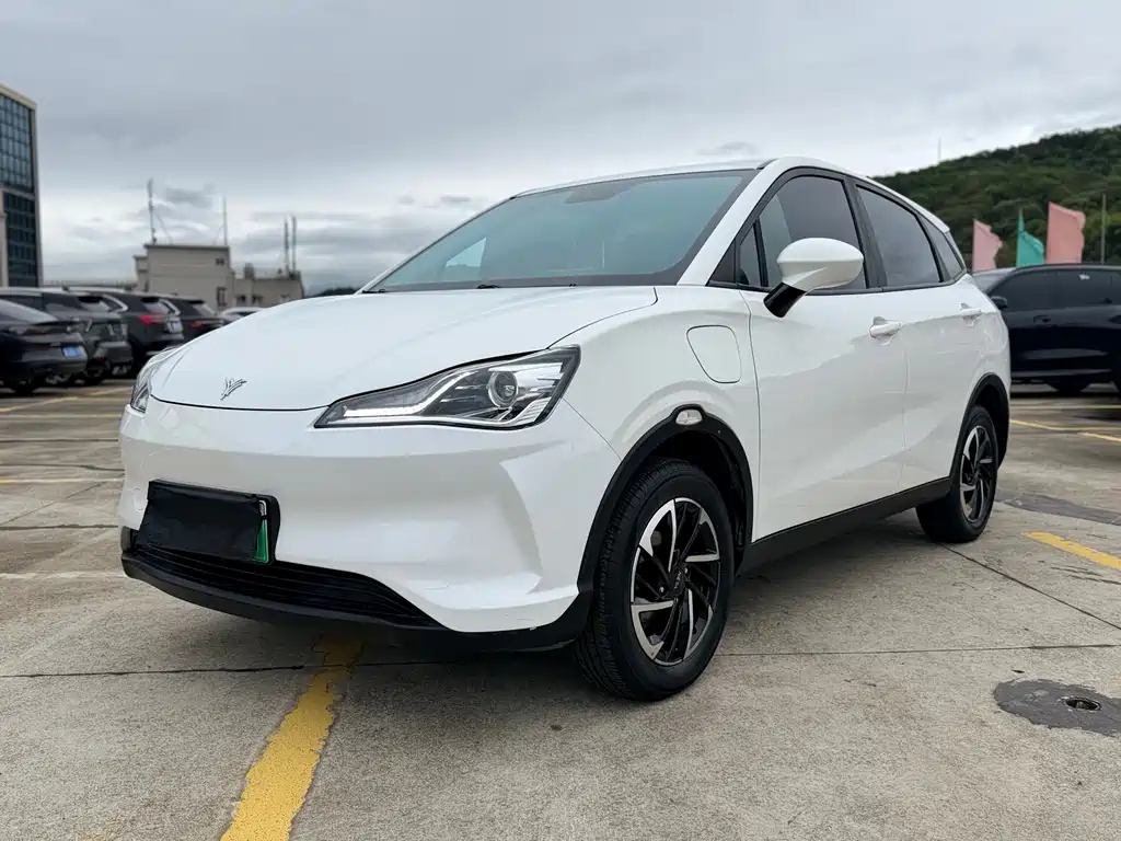 Neta Neta V 2021