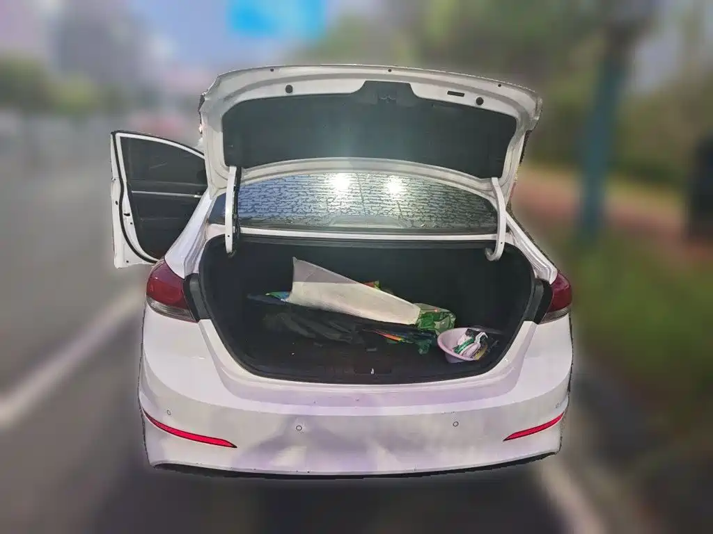 Hyundai Elantra — миниатюра 10