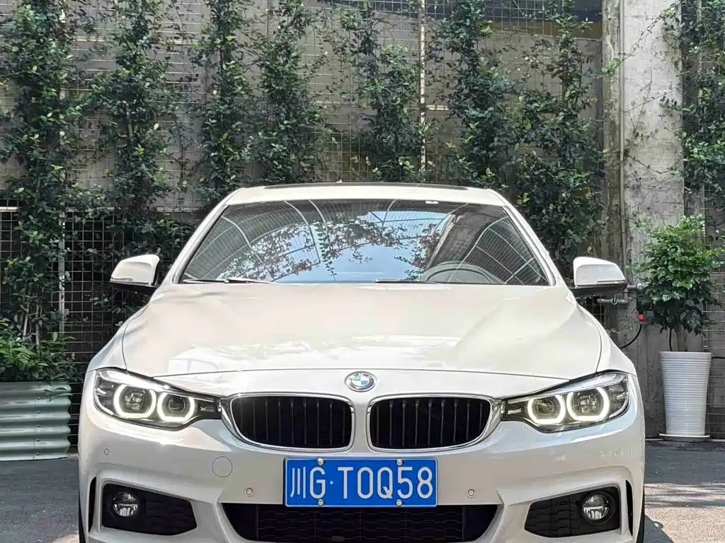 BMW 4 Series — миниатюра 2