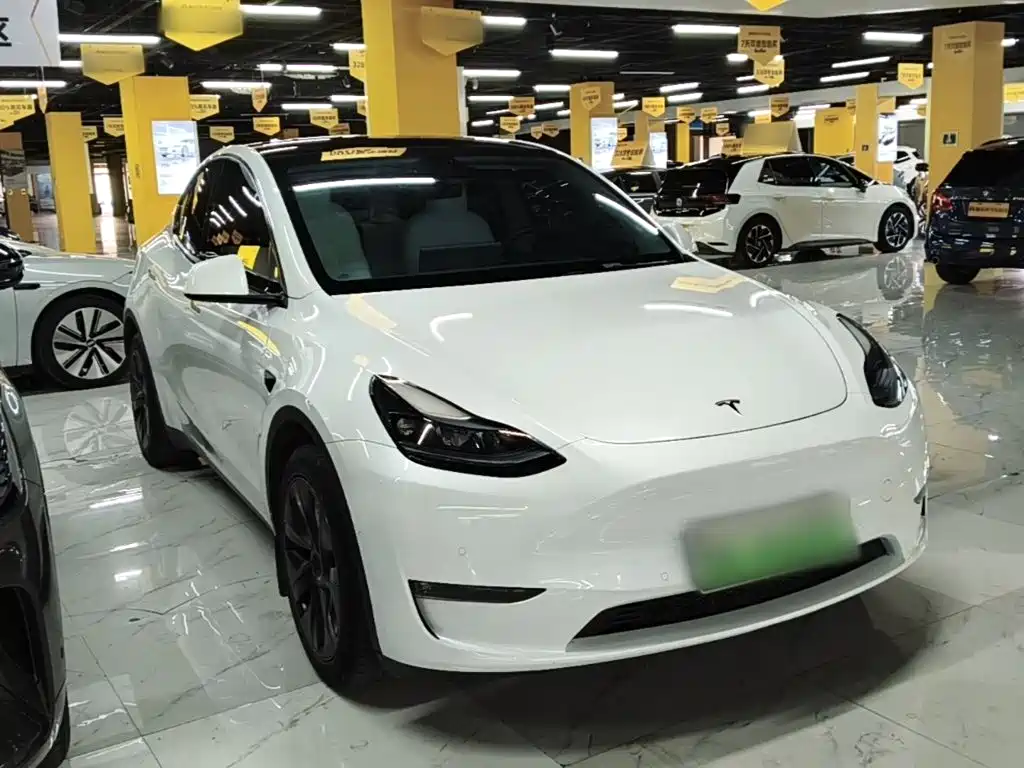 Tesla Model Y — миниатюра 4
