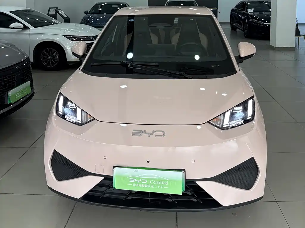 BYD Seagull 2025 Smart Drive 305km Freedom