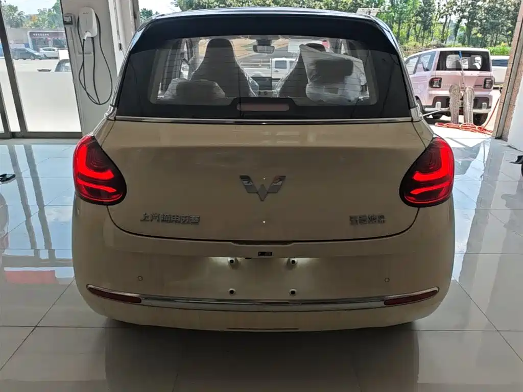 Wuling Binguo 2025 333km Enjoy