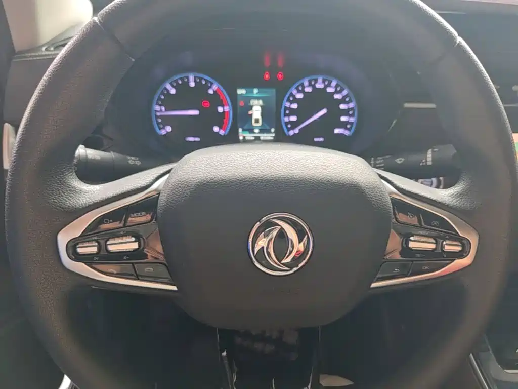 Dongfeng Rich 7 — миниатюра 11