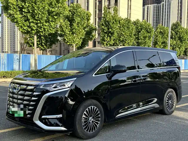 2024 Denza D9