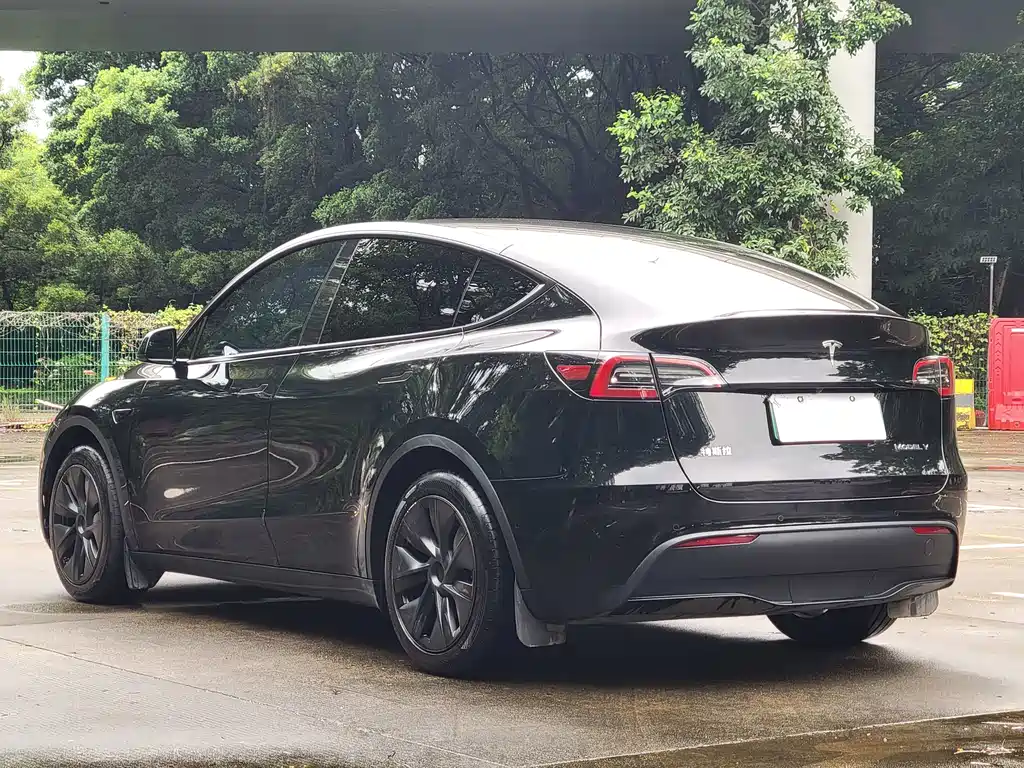 Tesla Model Y — миниатюра 15