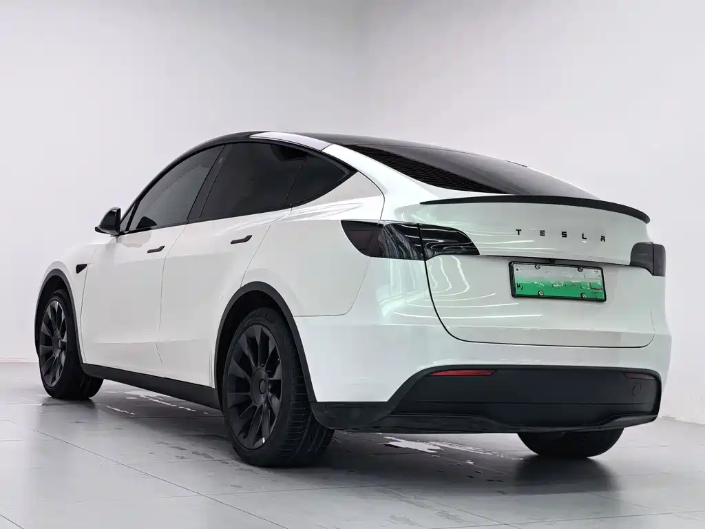 Tesla Model Y — миниатюра 5