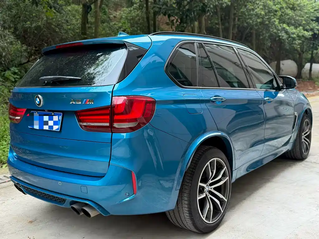 BMW X5 M 2013 X5 M