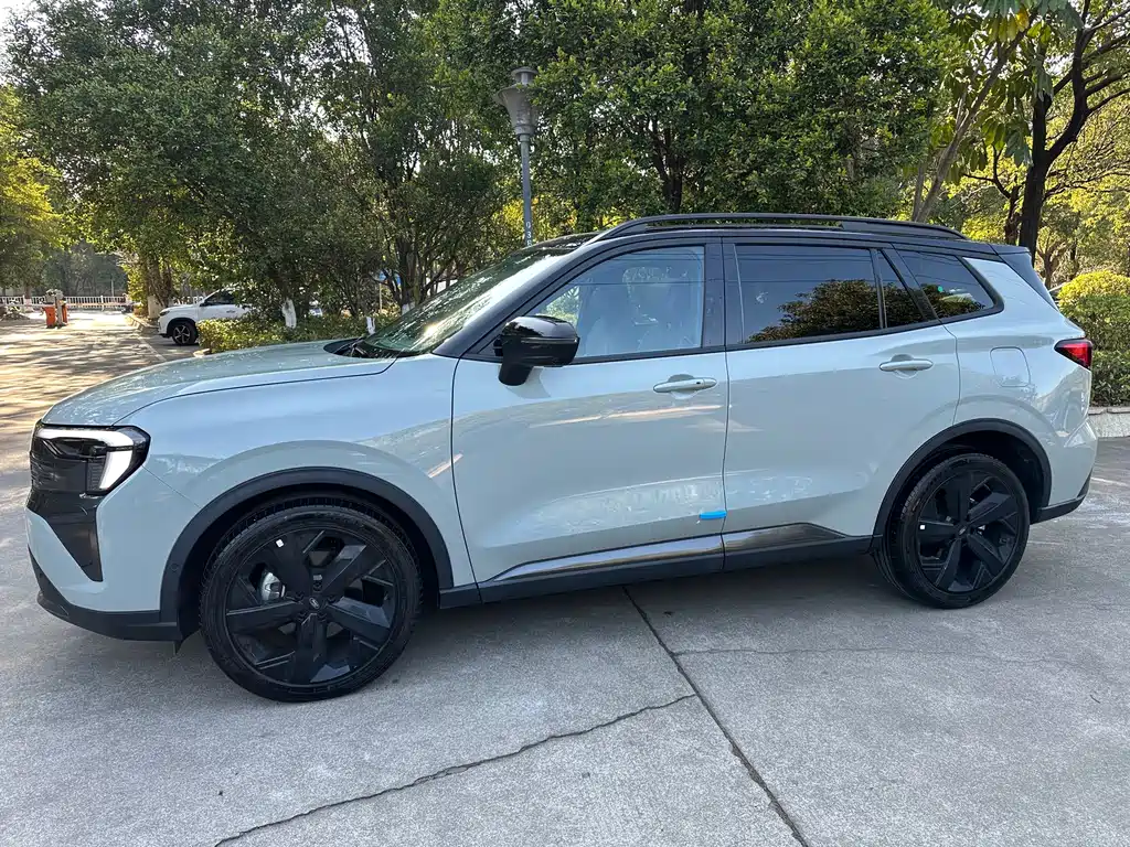 FORD LINGRUI NEW ENERGY