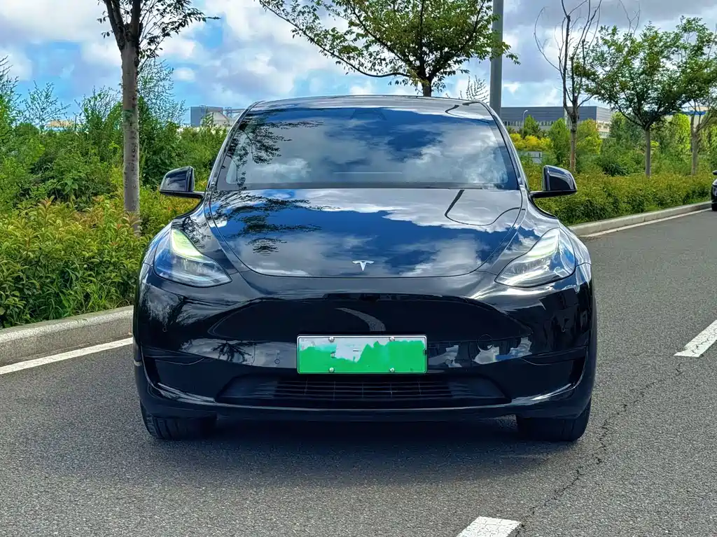 Tesla Model Y — миниатюра 2