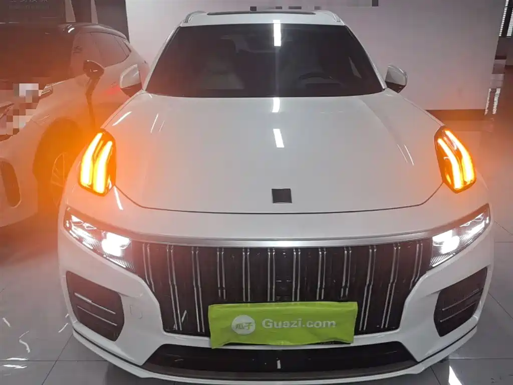 Lynk & Co 09 EM-P 2021 2.0T PHEV Ultra мест