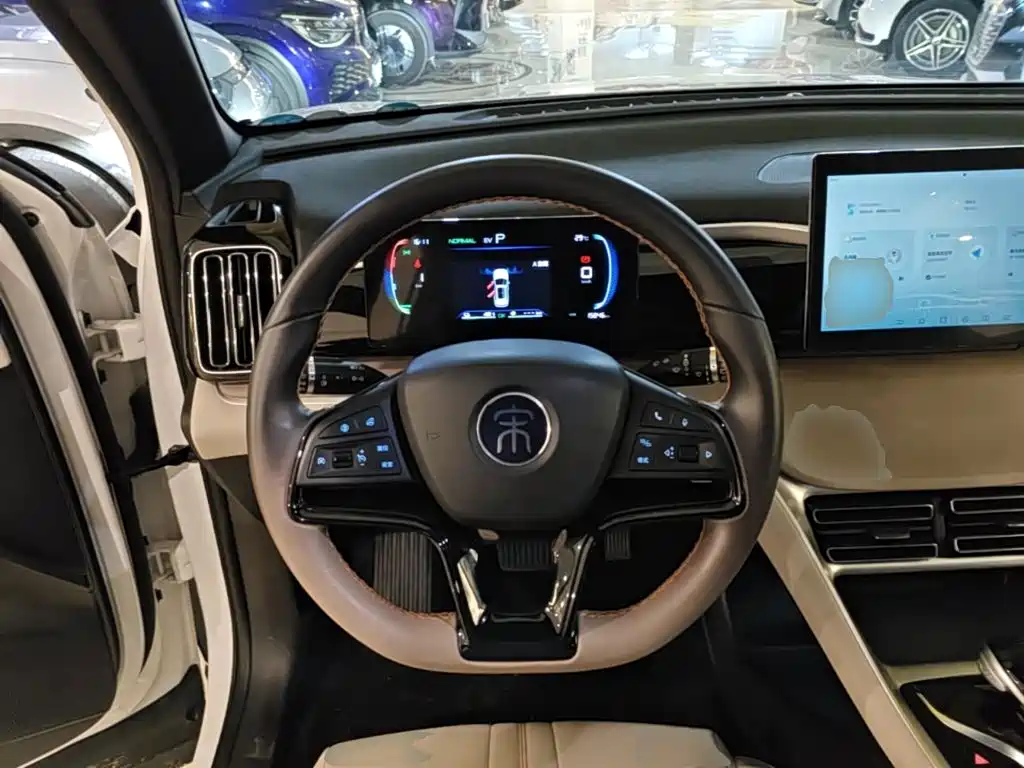 BYD Pro New Energy — миниатюра 11