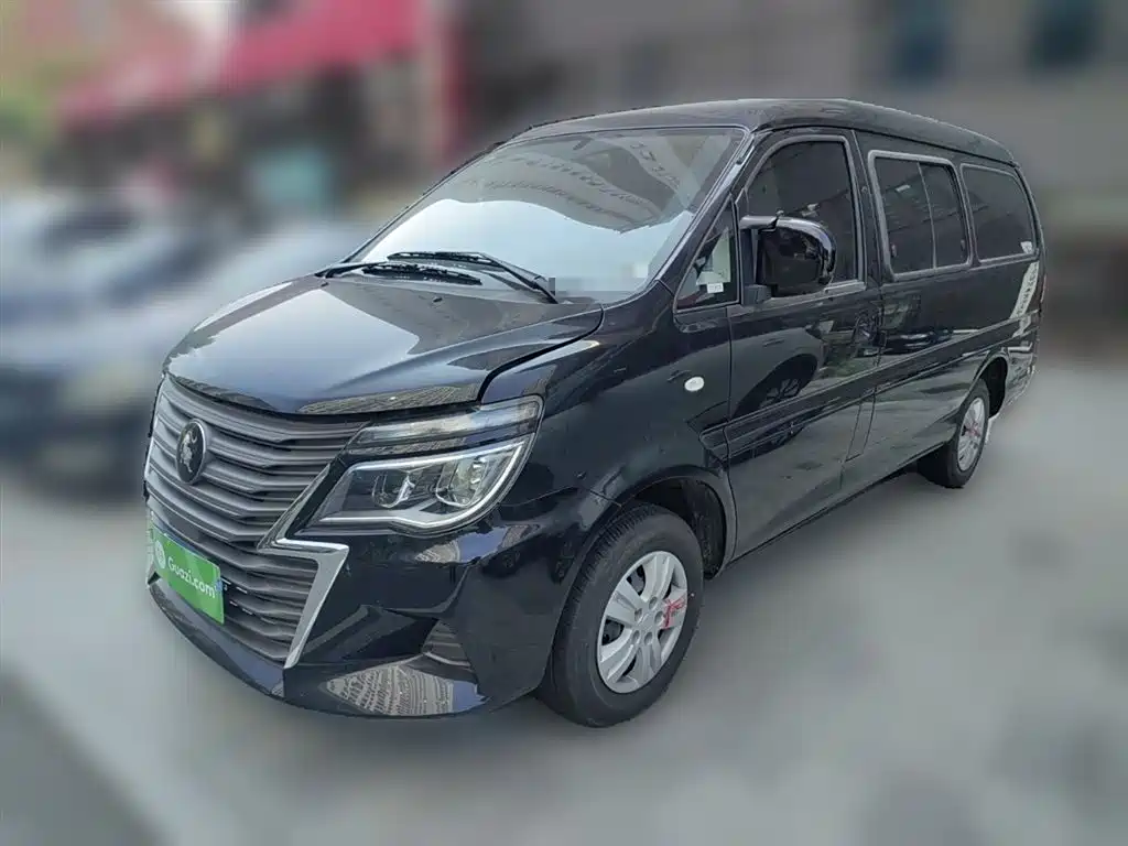 Fengxing Lingzhi 2023