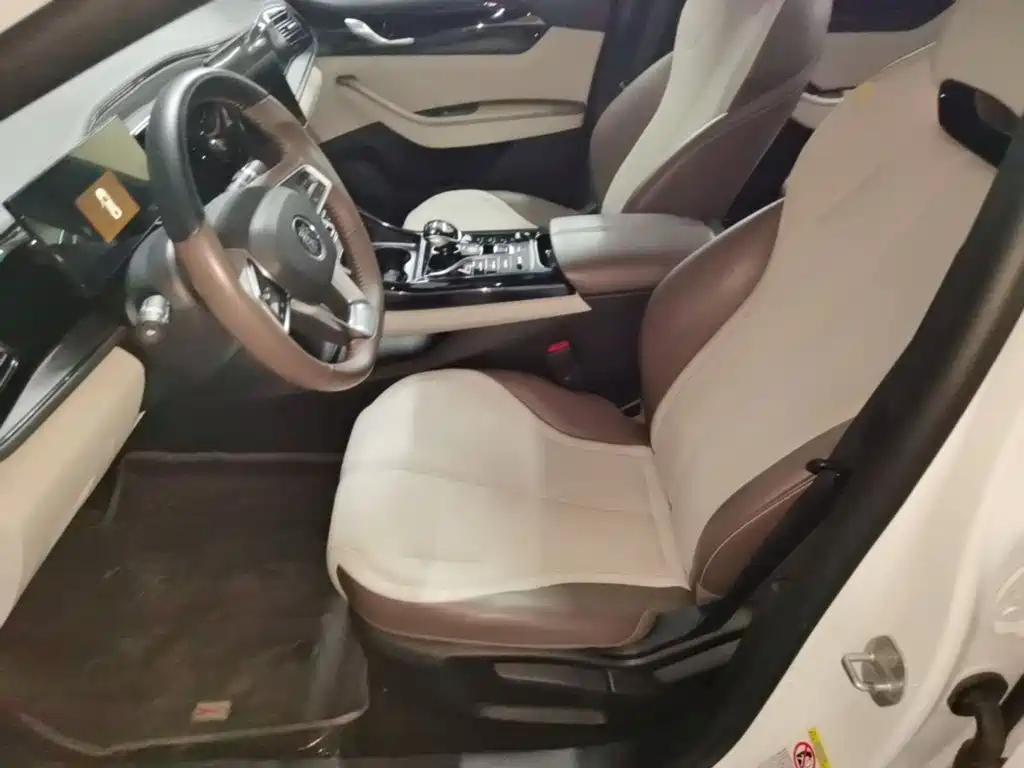 BYD Qin PLUS — миниатюра 15
