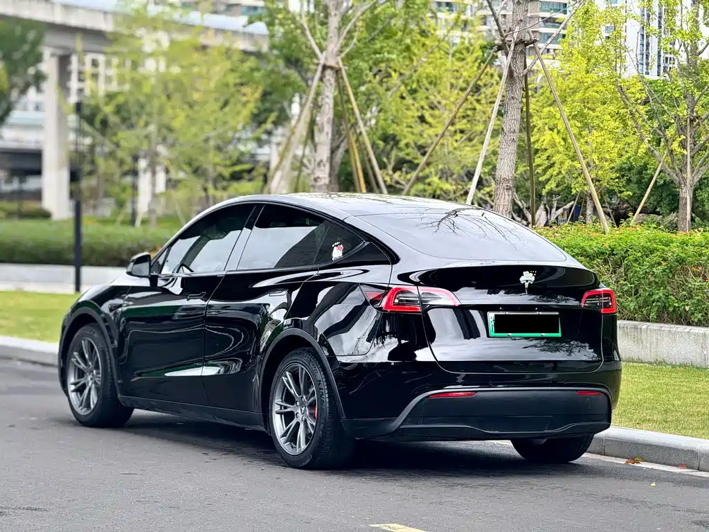 Tesla Model Y 2021 — фото 9