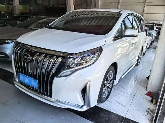 2021 GAC GN8