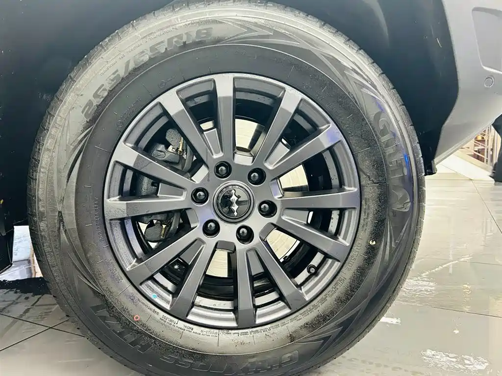 FANG CHENG BAO LEOPARD 5