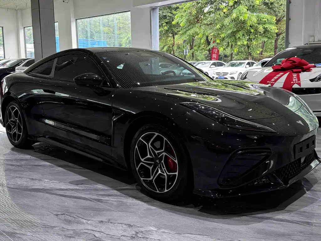 Neta Neta GT — миниатюра 29