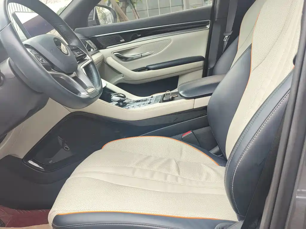 BYD PLUS New Energy — миниатюра 5