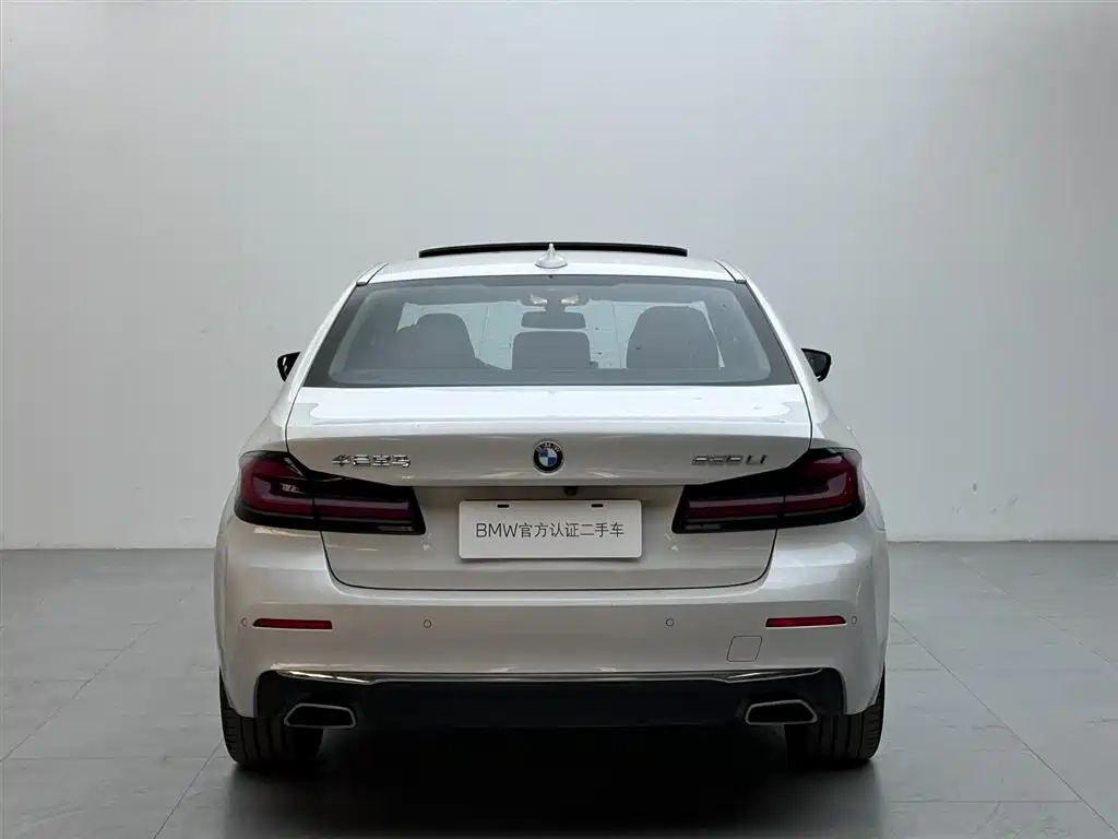 BMW 5 Series — миниатюра 5