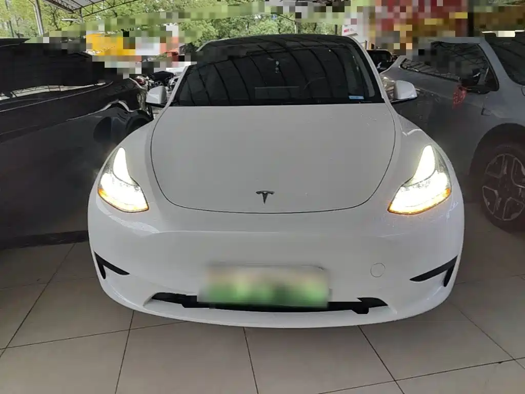 Tesla Model Y — миниатюра 3