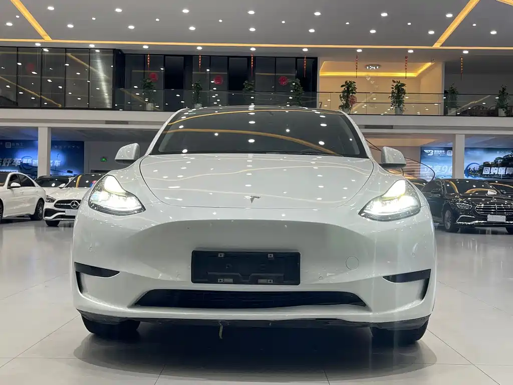 Tesla Model Y — миниатюра 4