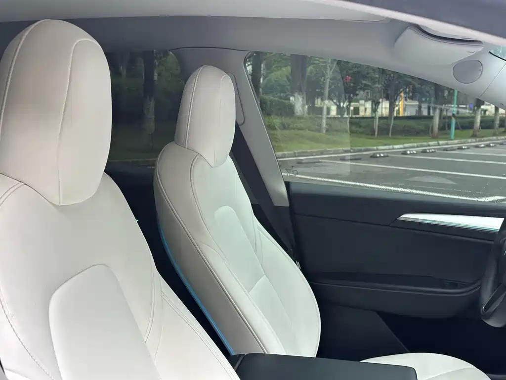 Tesla Model Y — миниатюра 5