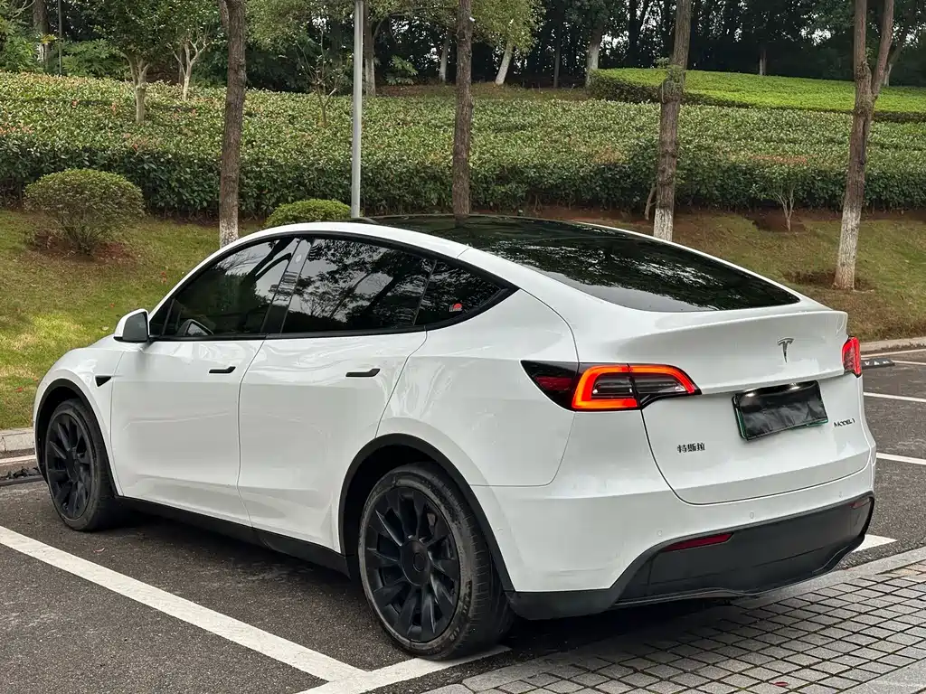 Tesla Model Y — миниатюра 13