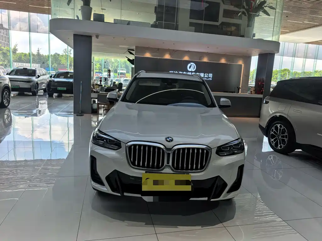 BMW X3 — миниатюра 2