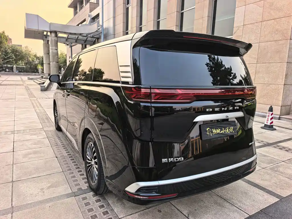 Denza Denza D9 — миниатюра 4