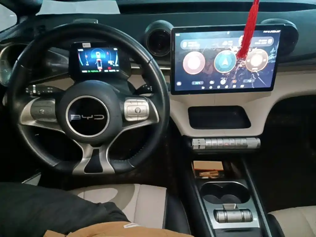 BYD Dolphin — миниатюра 10