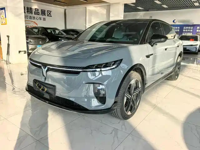 Voyah Zhiyin