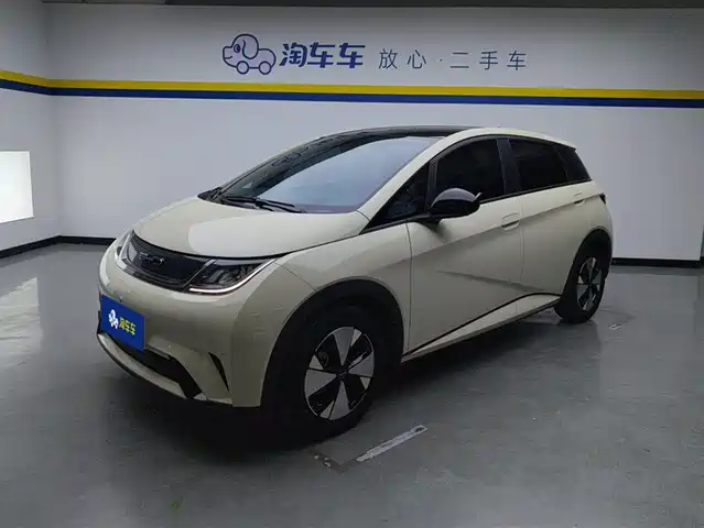 2023 BYD Dolphin