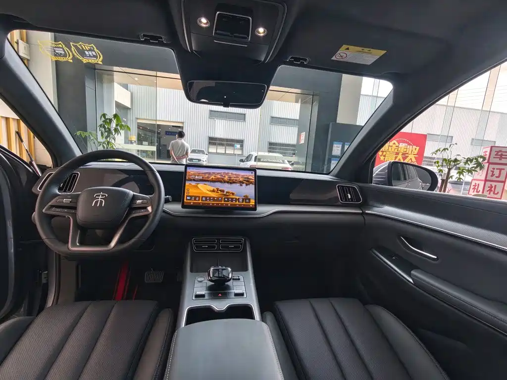 BYD Pro New Energy — миниатюра 12
