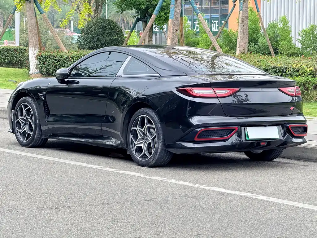 Neta Neta GT — миниатюра 8