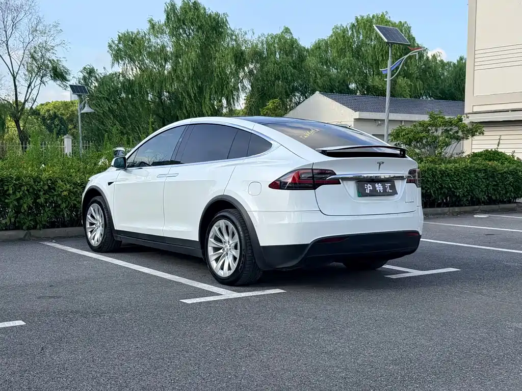 Tesla Model X — миниатюра 10