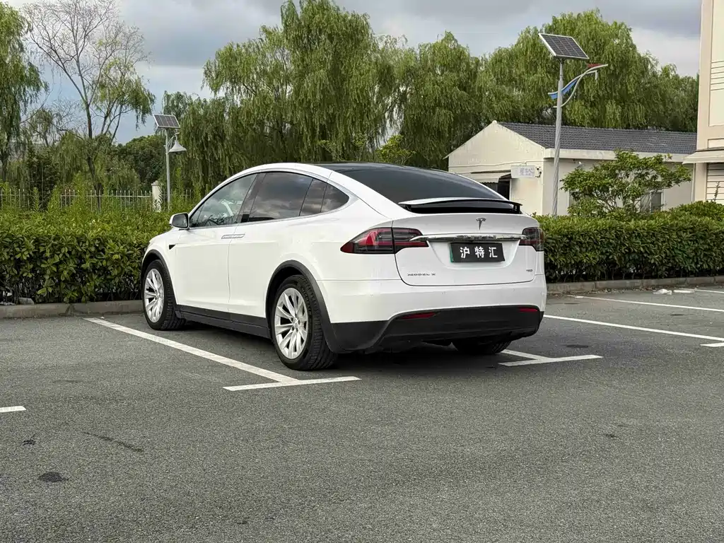 Tesla Model X — миниатюра 9