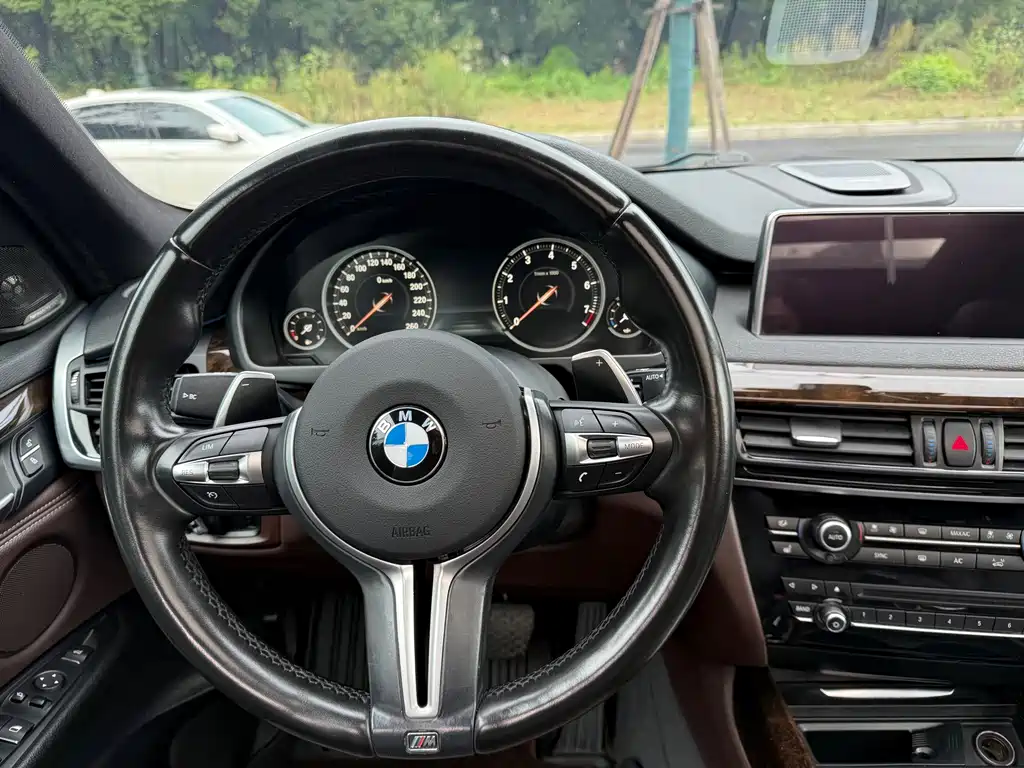 BMW X5 (Import) — миниатюра 15