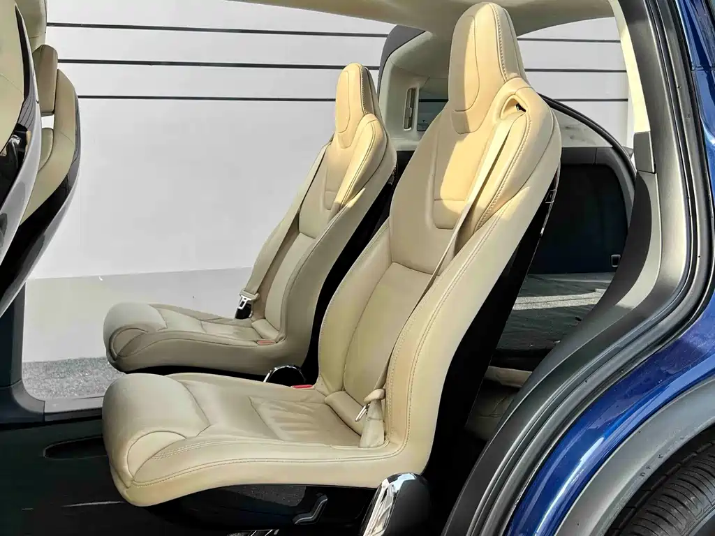 Tesla Model X — миниатюра 17