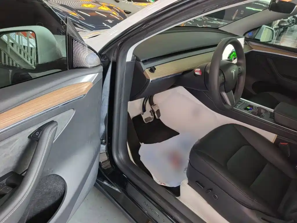 Tesla Model Y — миниатюра 16